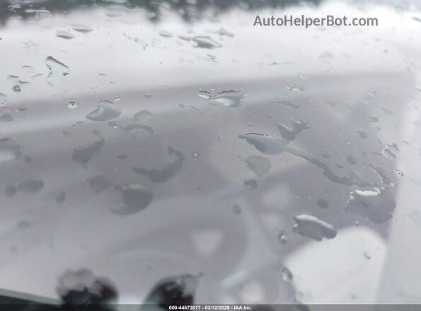 7SAYGDEE1TA588409 2026 TESLA MODEL Y Серый Вид задних сидений