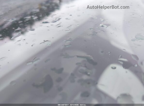 7SAYGDEE1TA588409 2026 TESLA MODEL Y Серый 