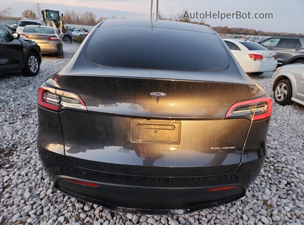 7SAYGDEE2RF031343 2024 TESLA MODEL Серый Вид сзади