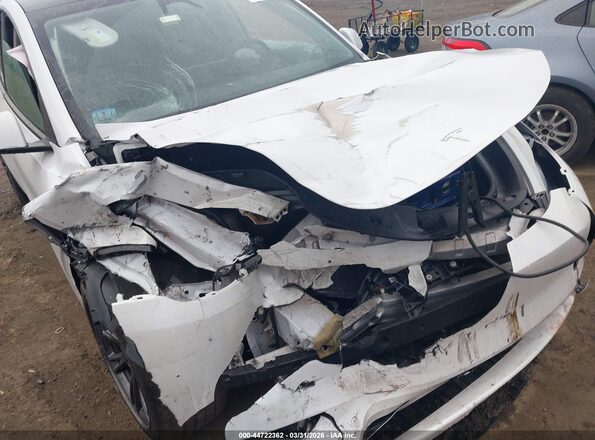 7SAYGDEE2RF152521 2024 TESLA MODEL Y White Դիմացի տեսք
