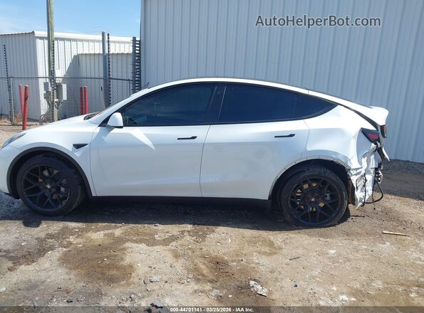 7SAYGDEE3PF706419 2023 TESLA MODEL Y White 