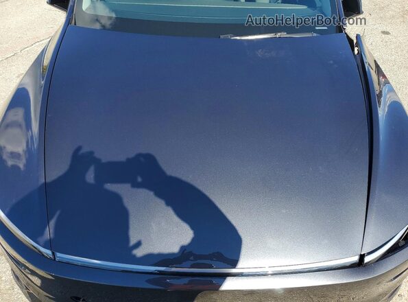 7SAYGDET4TA600597 2026 TESLA MODEL Gray Սալոնի հետևի տեսք