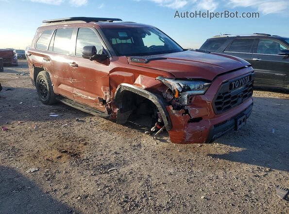 7SVAAABA6RX040459 2024 TOYOTA SEQUOIA Maroon Przód prawy