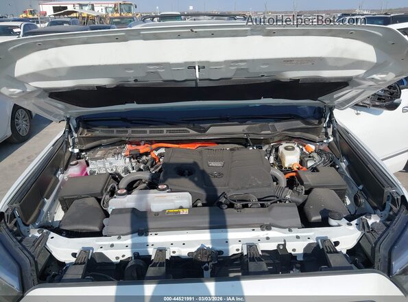7SVAAABA8SX071007 2025 TOYOTA SEQUOIA Белый Вид сзади