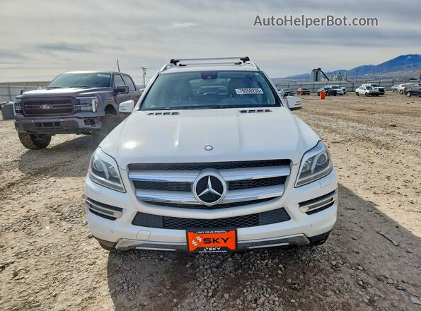 4JGDF2EE5GA679182 2016 MERCEDES-BENZ GL-CLASS White Widok z tyłu