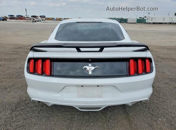 1FA6P8AM9H5202524 2017 FORD MUSTANG White 