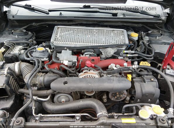 JF1VA2Y69K9800548 2019 SUBARU WRX STI Black Widok z tyłu
