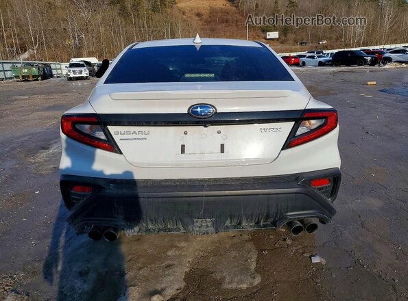 JF1VBAF64P9821924 2023 SUBARU WRX Белый Вид сзади