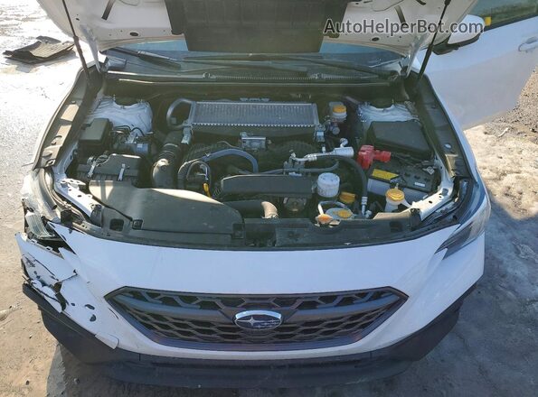 JF1VBAF64P9821924 2023 SUBARU WRX Белый Вид задней части салона