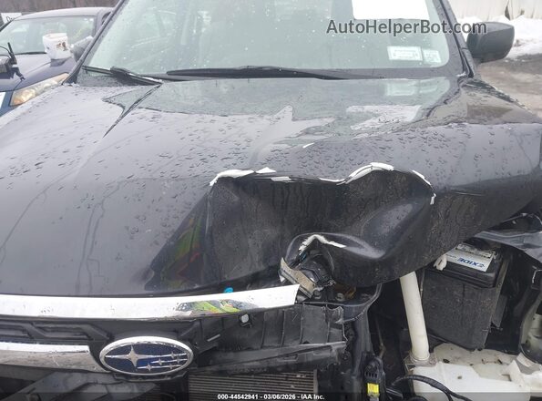 JF2SJAAC6HG574448 2017 SUBARU FORESTER 2.5 Blue უკანა ხედი