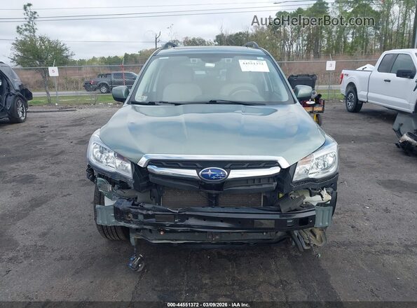 JF2SJAGC5HH436174 2017 SUBARU FORESTER 2.5 Green 