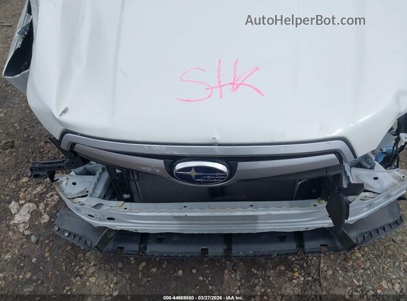JF2SKAEC7KH442159 2019 SUBARU FORESTER White Widok z tyłu