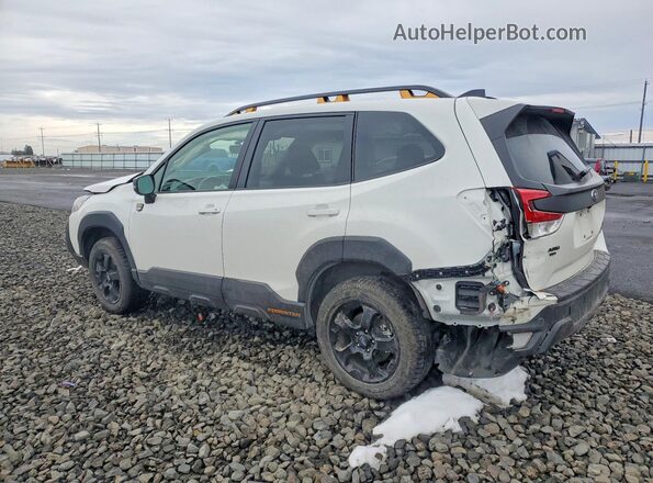 JF2SKAJC4RH527539 2024 SUBARU FORESTER White Tył lewy