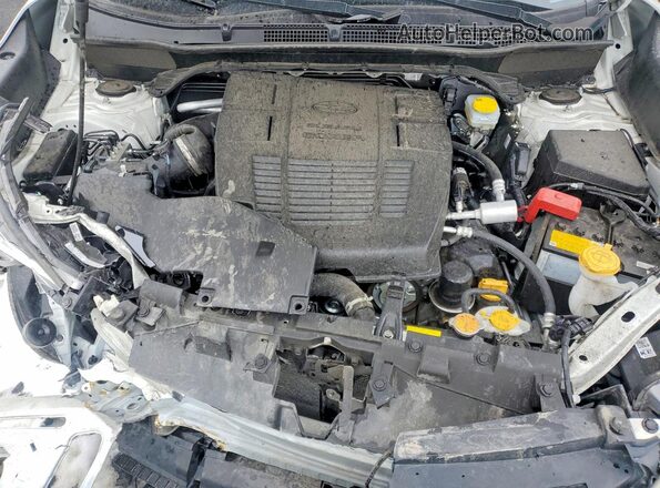 JF2SKAJC4RH527539 2024 SUBARU FORESTER White Widok wnętrza z tyłu