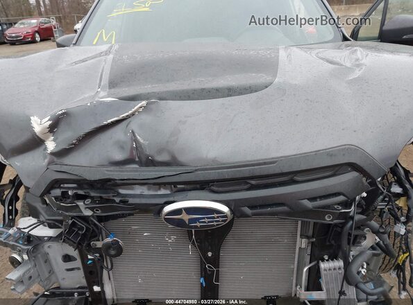 JF2SKAJC8RH418162 2024 SUBARU FORESTER Gray Вид ззаду