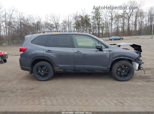 JF2SKAJC8RH418162 2024 SUBARU FORESTER Gray Панорамний вид салону 360°