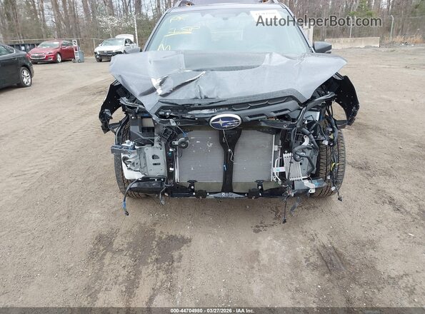 JF2SKAJC8RH418162 2024 SUBARU FORESTER Gray Вид спереду