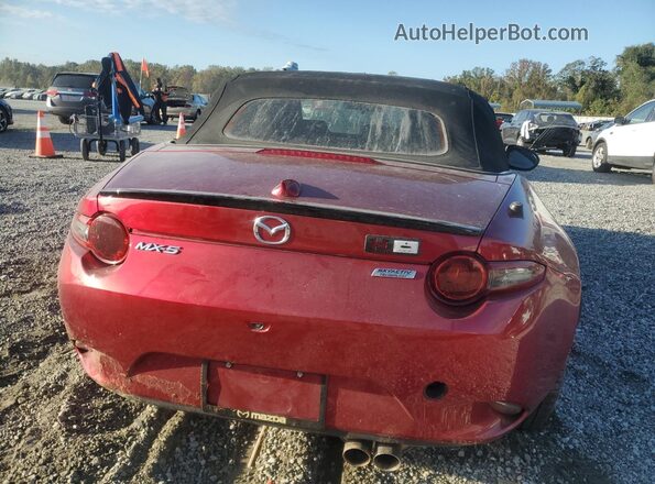 JM1NDAC74K0311314 2019 MAZDA MX-5 Красный Вид сзади