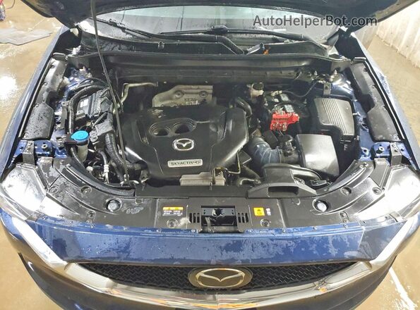 JM3KFBAY3M0300037 2021 MAZDA CX-5 Синий Вид задней части салона