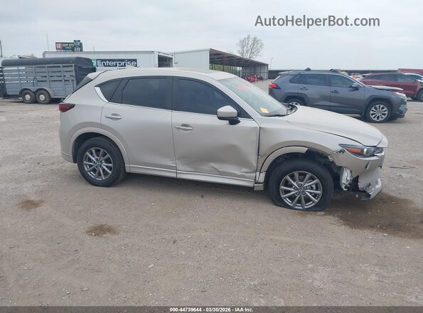 JM3KFBCL9S0615309 2025 MAZDA CX-5 Gray Widok wnętrza z tyłu