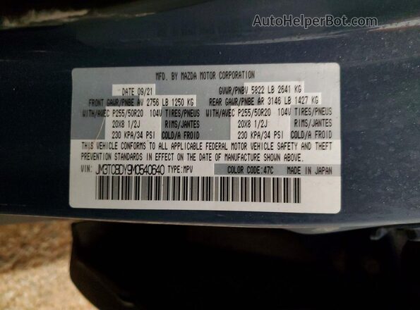 JM3TCBDY9M0540640 2021 MAZDA CX-9 Blue 