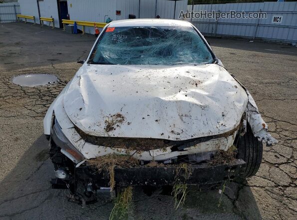 JN1EV7AP1MM701756 2021 INFINITI Q50 Белый Вид спереди