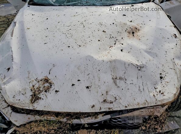 JN1EV7AP1MM701756 2021 INFINITI Q50 Белый Вид задней части салона