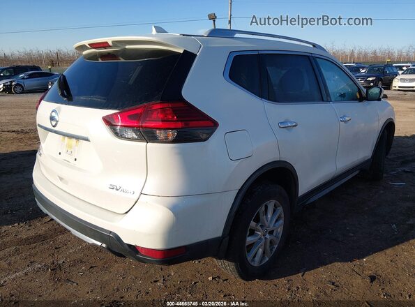 JN8AT2MV2HW019658 2017 NISSAN ROGUE Белый 
