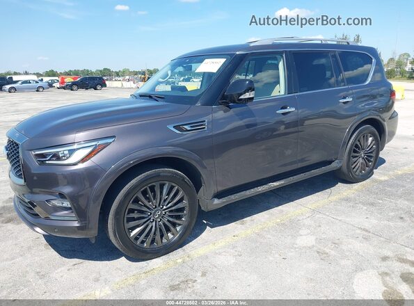 JN8AZ2AE1P9305677 2023 INFINITI QX80 Gray Front left