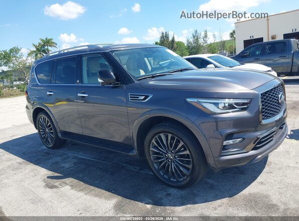 JN8AZ2AE1P9305677 2023 INFINITI QX80 Gray 