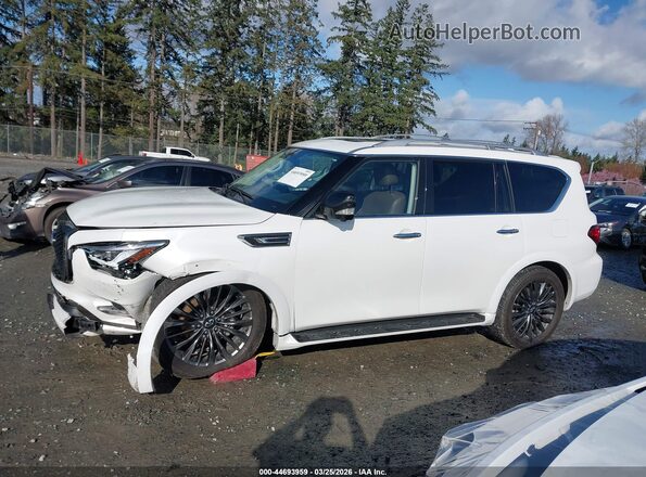 JN8AZ2AE8P9302808 2023 INFINITI QX80 White Vista interior de 360 grados