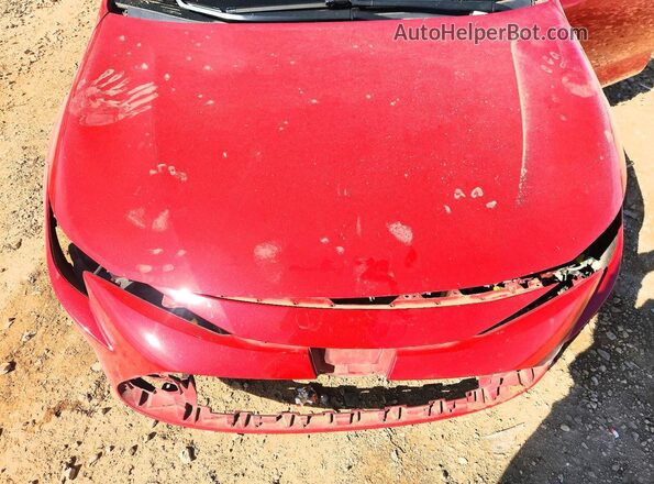 JTDEPMAE6MJ174979 2021 TOYOTA LL Red Вид задньої частини салону
