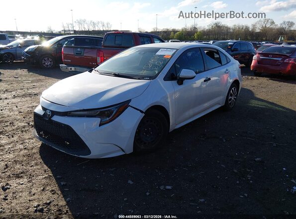 JTDEPRAE5LJ063383 2020 TOYOTA LL White Front left