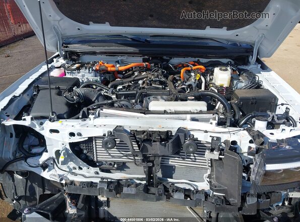 JTEABFAJ6S5012437 2025 TOYOTA LAND CRUISER Белый Вид сзади