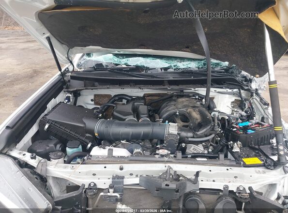 JTEMU5JR8P6106912 2023 TOYOTA 4RUNNER Белый Вид сзади
