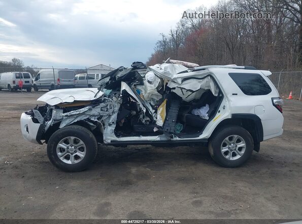 JTEMU5JR8P6106912 2023 TOYOTA 4RUNNER Белый Панорамный вид салона 360°