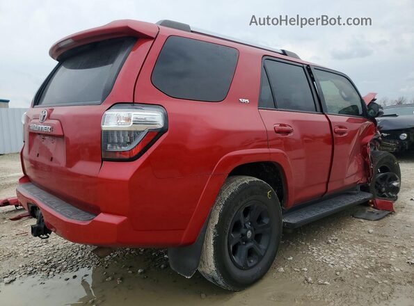 JTENU5JR5M5867547 2021 TOYOTA 4RUNNER Burgundy Rear right