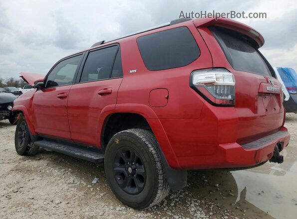 JTENU5JR5M5867547 2021 TOYOTA 4RUNNER Burgundy Rear left