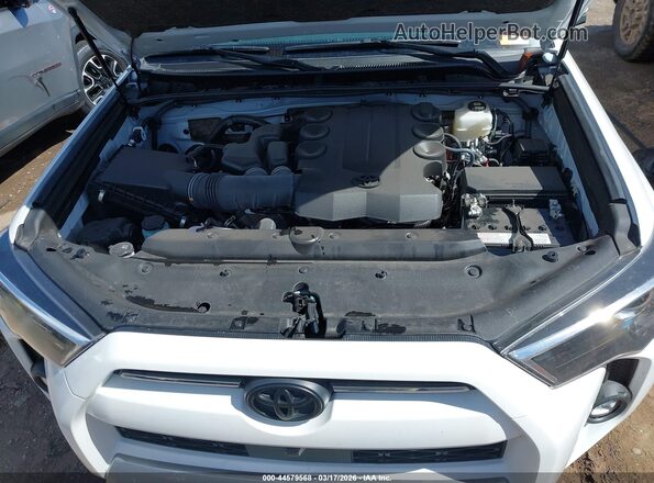JTERU5JR2R6306175 2024 TOYOTA 4RUNNER White Rear view