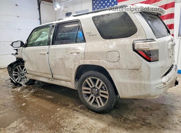 JTESU5JR5N6019182 2022 TOYOTA 4RUNNER Белый Задняя левая четверть