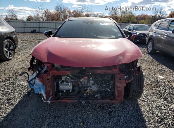 JTHB9JBH5P2067701 2023 LEXUS UX Красный Вид спереди