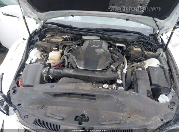 JTHBA1D20K5091976 2019 LEXUS IS 300 Белый Вид сзади