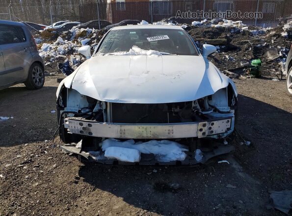 JTHC81D29J5033735 2018 LEXUS IS Белый Вид спереди