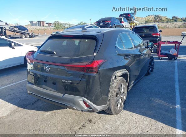 JTHE9JBH6M2049992 2021 LEXUS UX 250H Black უკანა მარჯვენა