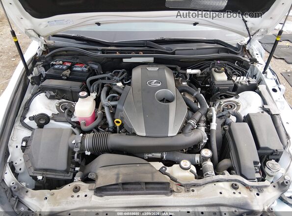 JTHGA1D25L5102946 2020 LEXUS IS 300 White Հետևի տեսք