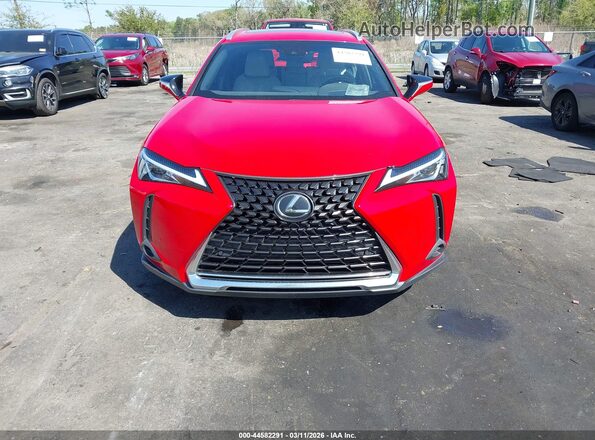 JTHP3JBH1N2049653 2022 LEXUS UX 200 Red Вид задньої частини салону