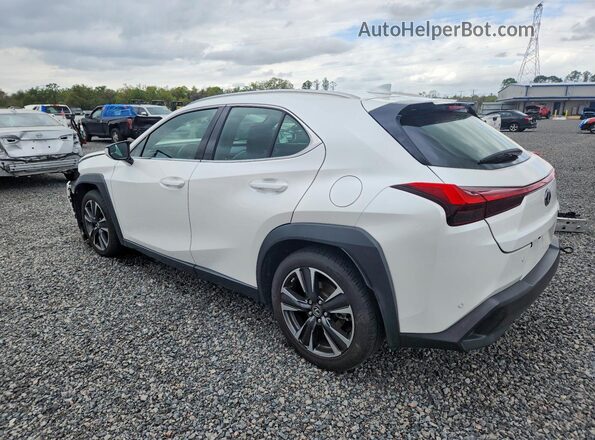 JTHP3JBH6L2023952 2020 LEXUS UX Белый Задняя левая четверть