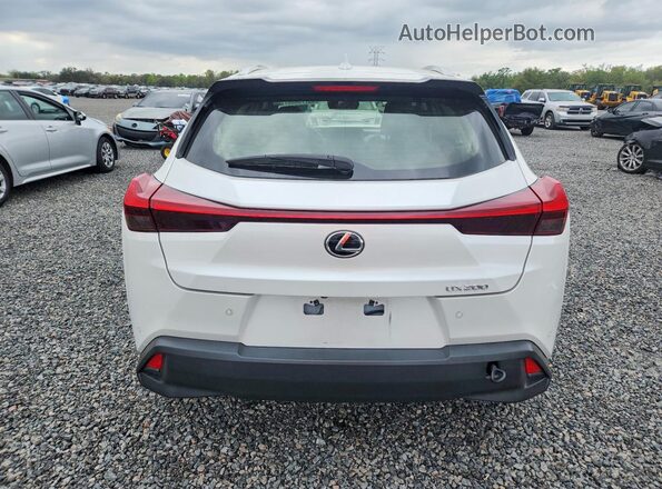 JTHP3JBH6L2023952 2020 LEXUS UX Белый Вид сзади