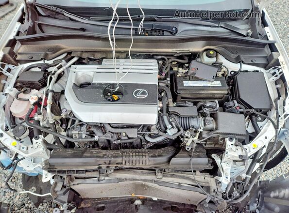 JTHP3JBH6L2023952 2020 LEXUS UX Белый Вид задней части салона