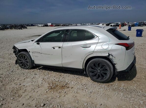 JTHP3JBH7M2040678 2021 LEXUS UX White Rear left